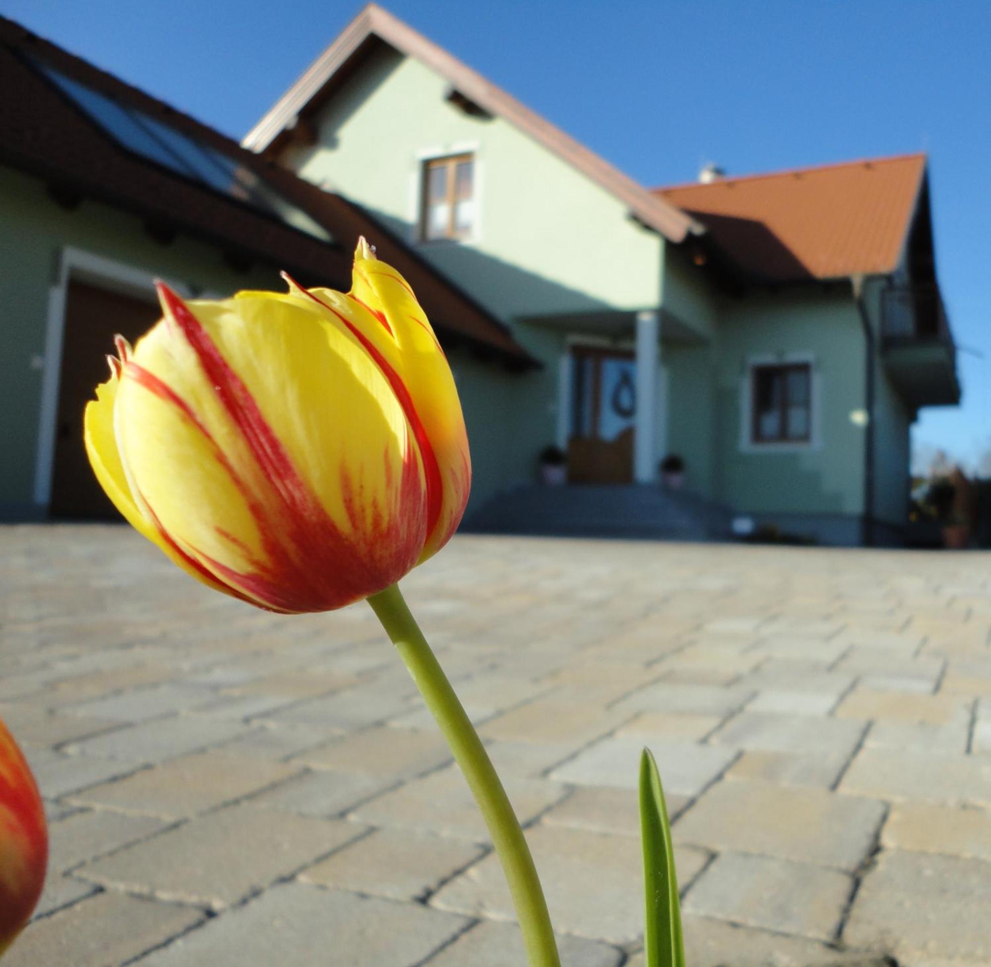 Gaestezimmer Rieder Staatz 외부 사진